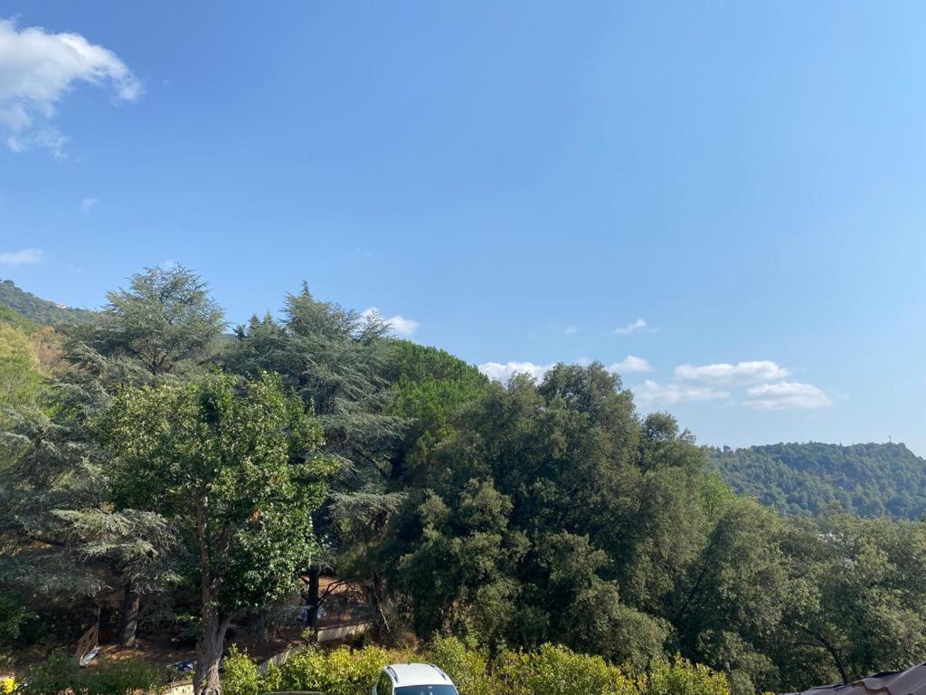 Domaine Des Anges Aparthotel Amélie-les-Bains-Palalda Eksteriør bilde